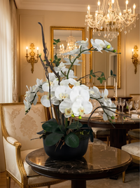 Élégance Zen – Orchidées Blanches Vase Porcelaine Noir 69 cm