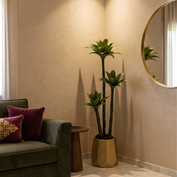 Dracaena Massangeana avec pot en polyester