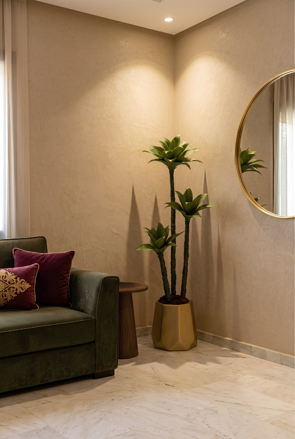 Dracaena Massangeana avec pot en polyester