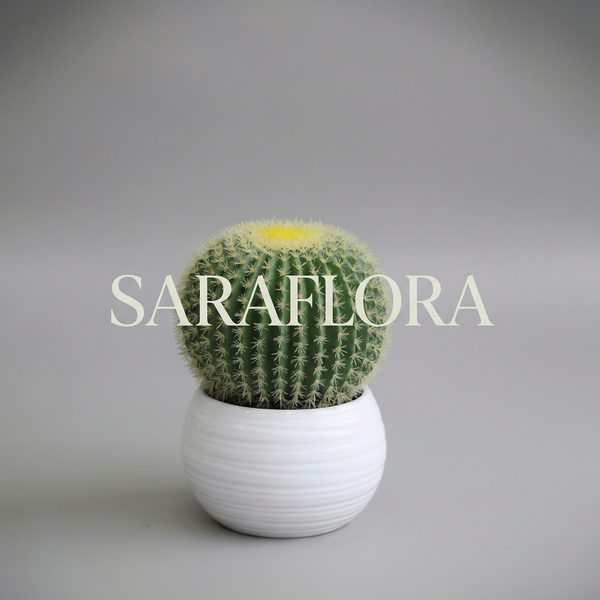 🌵Echinocactus grusonii - Artificiels - image alternative