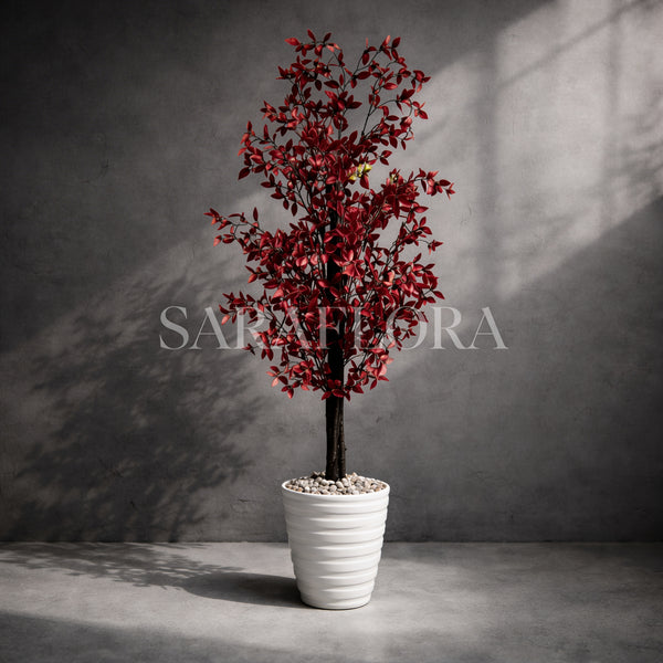 Arbre à feuilles de laurier (Rouge)