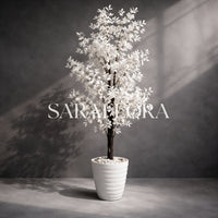 Arbre à feuilles de laurier blanches