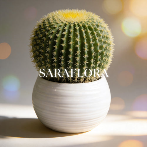 🌵Echinocactus grusonii - Artificiels