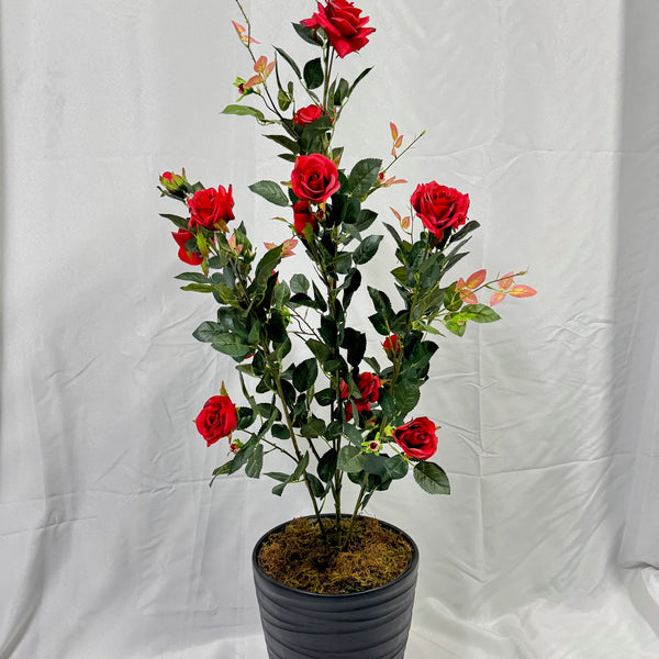 plante artificielle de roses rouges - image alternative