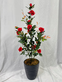 plante artificielle de roses rouges