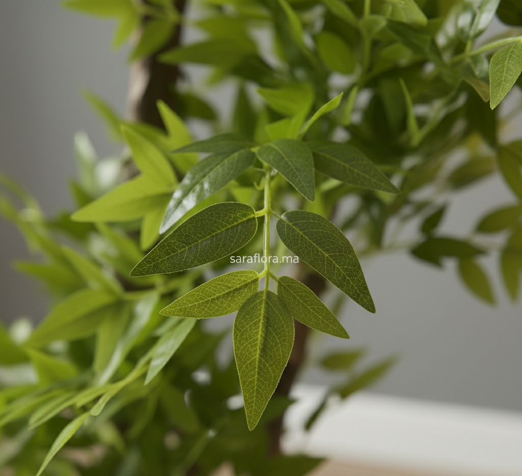 Image supplémentaire de pied de page 1