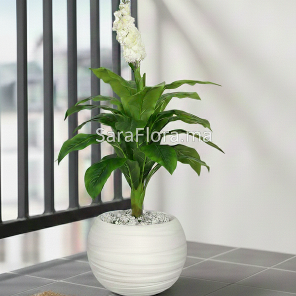 Plante Tropicale - image alternative