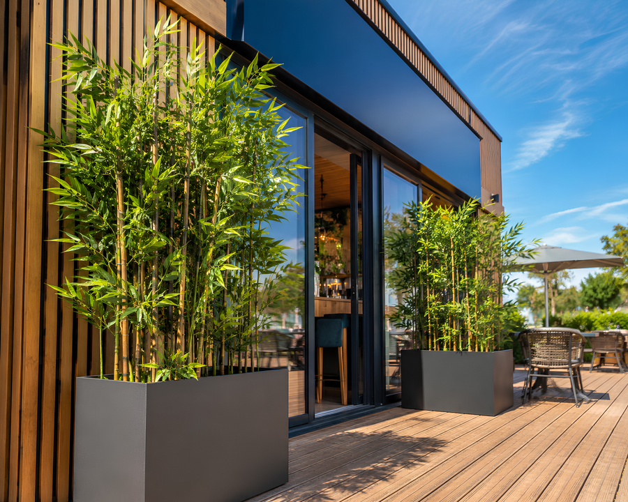 Installation de bambous artificiels denses dans des jardinières rectangulaires anthracite, disposés en façade et en séparation sur une terrasse extérieure en bois, encadrant l'entrée vitrée de l'établissement.