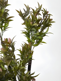 Nandina Artificielle Luxe 129cm