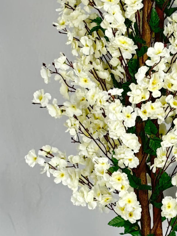 cerisier en fleurs