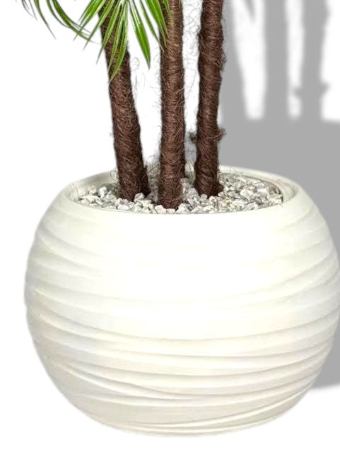 Palmier Areca