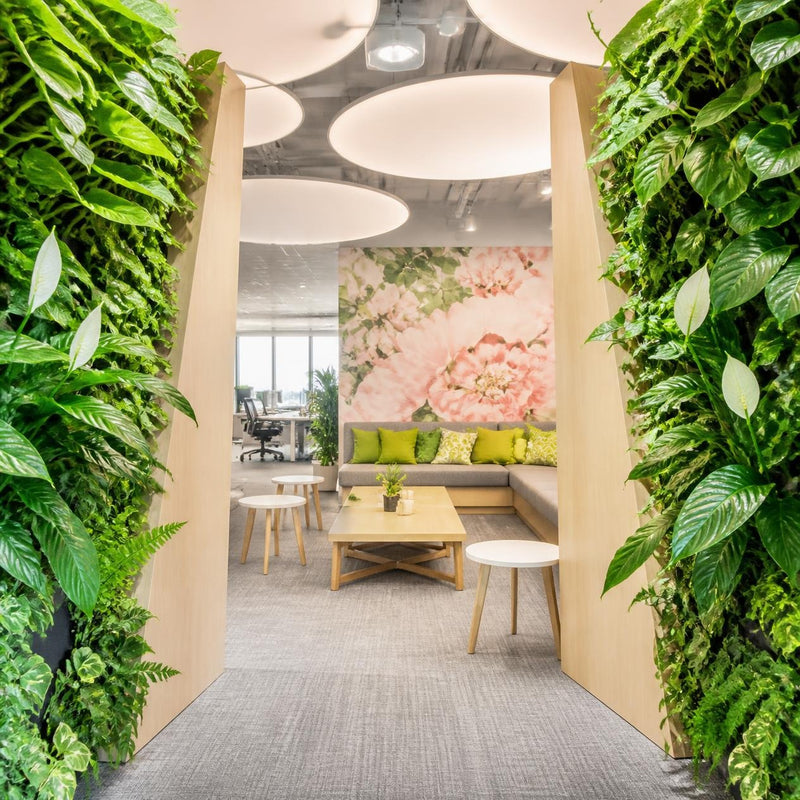 Photographie architecturale ultra-réaliste d’un espace d’accueil luxueux et contemporain dans une clinique à Marrakech, avec un comptoir incurvé en travertin et en chêne, une suspension en rotin, des oliviers et des ficus en pots, un mur végétal luxuriant, des assises en bouclé crème et une lumière dorée de fin de journée traversant des fenêtres cintrées.