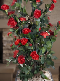Rosier Artificiel Rouge | 182cm