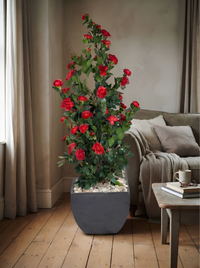 Rosier Artificiel Rouge | 182cm
