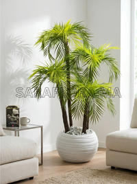 Palmier Vert'Or
