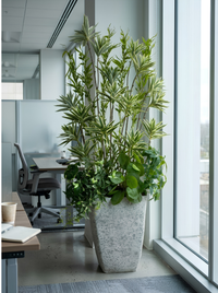 Écrin de Verdure – Composition Végétale Panachée 190 cm