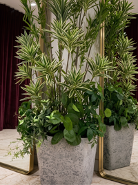 Écrin de Verdure – Composition Végétale Panachée 190 cm