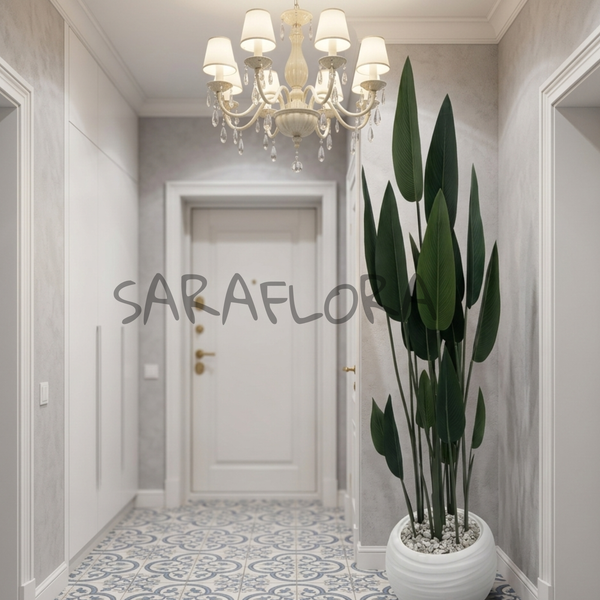 Strelitzia Nicolai - image alternative