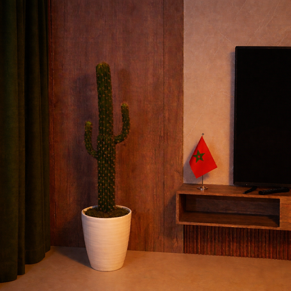 Saguaro Élégance - Artificiels - image alternative