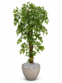 Arbre artificiel Nandina au feuillage vert dense dans un pot en polyéthylène gris avec galets en marbre gris sur fond blanc