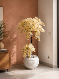 Arbre aux Fleurs de Soie