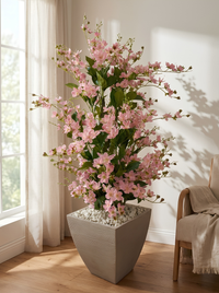 Arbuste Fleuri Rose Poudré | 160cm