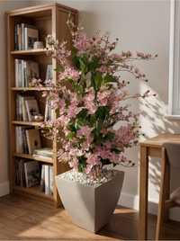 Arbuste Fleuri Rose Poudré | 160cm