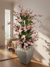 Arbuste Fleuri Rose Poudré | 160cm