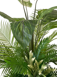 Gros plan sur les grandes feuilles panachées, les palmes et les inflorescences blanches de l'arrangement Verdure Majestueuse