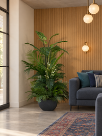 Arrangement botanique artificiel Verdure Majestueuse installé dans un salon chic près d'un mur en tasseaux de bois