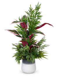 Arrangement Tropical Exclusif "5 Variétés" H160cm