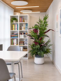 Arrangement tropical exclusif de 5 variétés de feuillage artificiel dans un bureau professionnel moderne avec bibliothèque