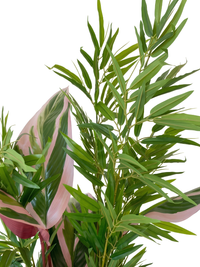 Gros plan sur le feuillage de bambou et les feuilles roses de l'arrangement tropical exclusif 5 variétés