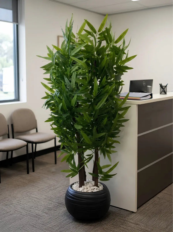 Bambou artificiel 160 cm effet réel dans un pot noir avec galets blancs, décoration d'un bureau d'accueil et d'une salle d'attente professionnelle