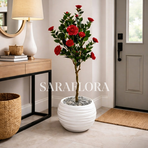 Camélia Rouge | 140cm