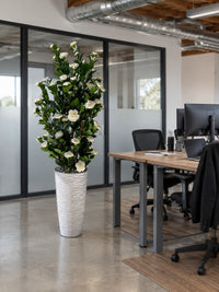 Camélia artificiel haut de 165 cm en fleurs blanches placé dans un bureau moderne et élégant