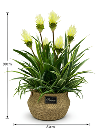 Composition florale artificielle tulipes jaune crème 90cm x 83cm en panier tressé naturel – fond blanc, Maroc
