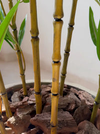 Gros plan sur les cannes de bambou artificiel réalistes et la finition en écorces de bois naturelles au pied du pot