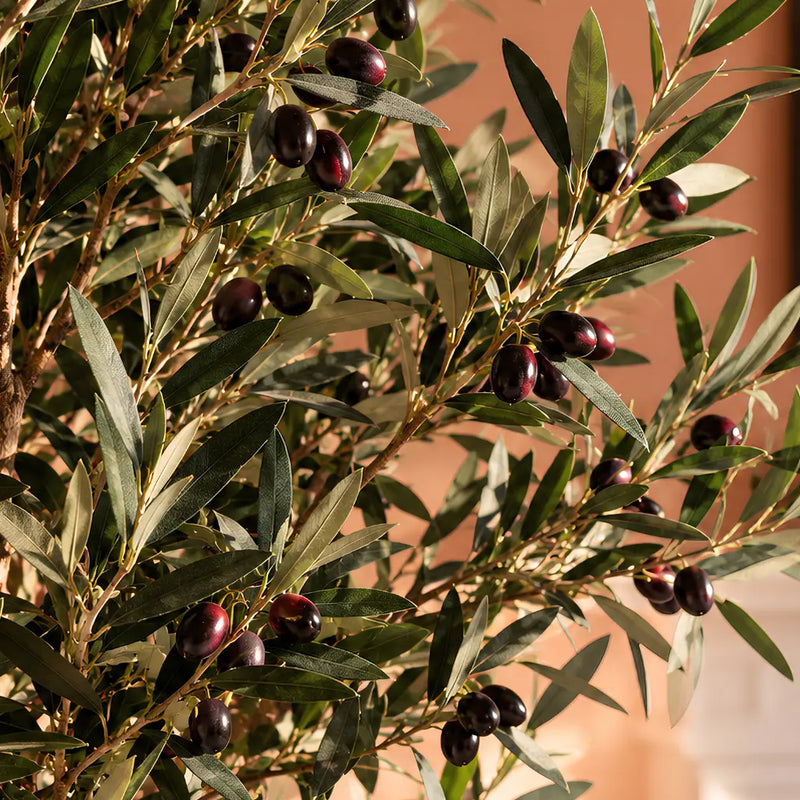 Gros plan détaillé sur le feuillage et les olives d'un olivier artificiel réaliste disponible chez SaraFlora au Maroc.
