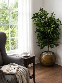Ficus dense artificiel 110cm pot doré galets blancs — ambiance salon lecture naturelle | Saraflora
