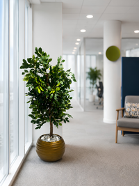 Ficus artificiel dense 110cm pot doré — décoration bureau et lobby professionnel | Saraflora Maroc