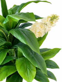 Gros plan détaillé sur l'épi floral blanc crème et les feuilles vertes réalistes d'une plante artificielle Jacinthe sur fond blanc