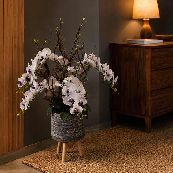 Orchidées Blanches Et Violettes