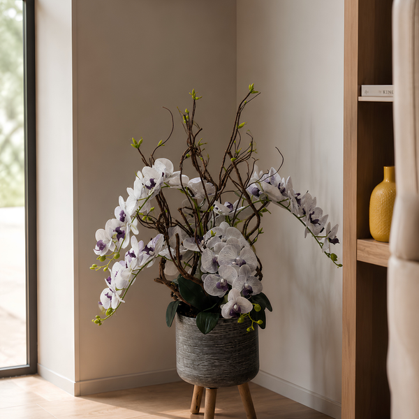 Orchidées Blanches Et Violettes