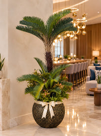 Palmier cycas artificiel effet réel dans un grand pot doré, décoration d'un restaurant lounge de luxe à Casablanca avec bar en bois et luminaires dorés