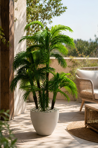Grand palmier Kentia artificiel Howea forsteriana de 151 cm avec multiples troncs réalistes, feuillage tropical dense, pot contemporain effet minéral et galets décoratifs. Idéal pour terrasse, patio, véranda, salon, hôtel, restaurant et bureau.