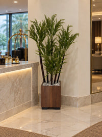 Plante artificielle Dracaena Fleuri haut de gamme hauteur 145 cm mise en situation dans le hall d'accueil d'un hôtel de luxe près d'un comptoir en marbre dans un bac en bois noyer SaraFlora