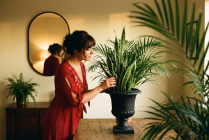 Collection de plantes artificielles au Maroc : femme agençant une composition végétale élégante.