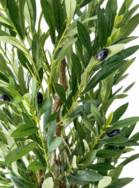 Gros-plan sur les feuilles texturées, le tronc naturel et les petites olives de l'olivier artificiel de 130 cm SaraFlora