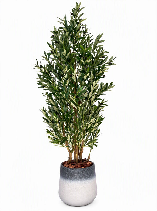 Plante artificielle Olivier Touffu haut de gamme hauteur 170 cm et largeur 60 cm dans un pot en PP bicolore avec olives noires SaraFlora